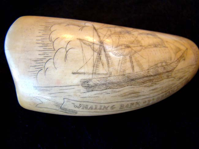 A late 19th or early 20th century Sperm whale tooth with whaling scene and the Whaling Bark 'Florence.' — image 2
